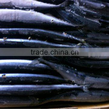 Frozen Paciifc Saury (Cololabis Saira) Whole Round Fresh & Cheap