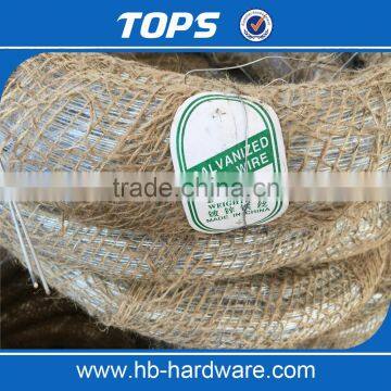 Electro Galvanized Iron Wire/black Binding Wire photo-5