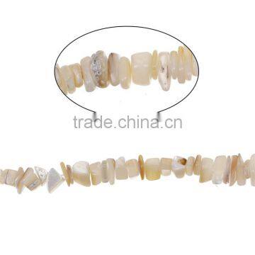 Shell Gemstone Loose Beads Irregular Natural