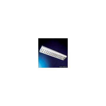 Round Fluorescent Light