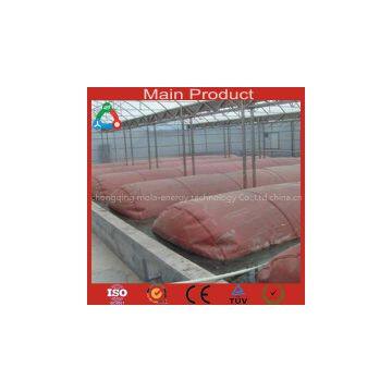 Big Size biogas system