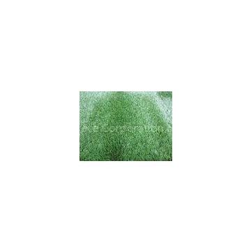 Straight and Curly Yarn Synthetic Artificial Landscaping Turf 20mm 11000Dtex