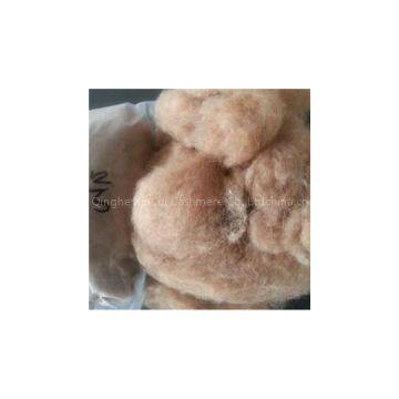 Camel Hair Fibers