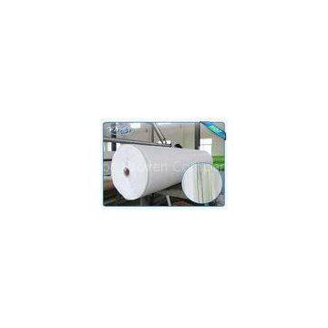 Biodegradable And Breadable 40gr Pp Spunbond Non Woven Agriculture Fabric
