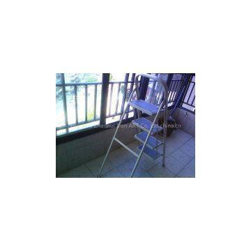 Iron step Ladder