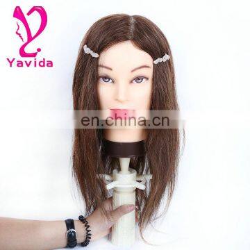 100% Human Hair Training head,Wig Display Head, Mannequine