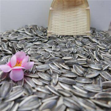 Sunflower Seeds from Inner Mongolia