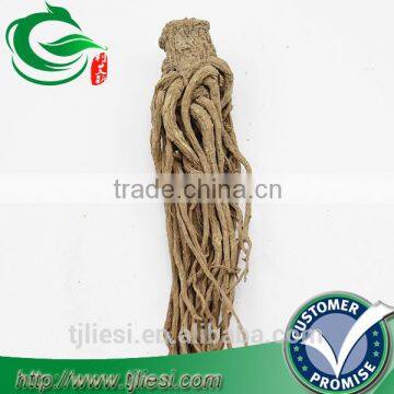 supply angelica native root not extract