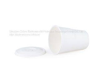 Eco Friendly Disposable & Biodegradable Hot Cup