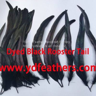 Rooster/Cock/Coque Tail Feather Dyed Black from China