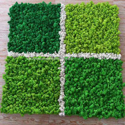 Real Natural Preserved Moss for Wall Decoration