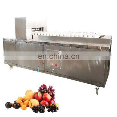 Hot sale Automatic section separating apple kiwi  mango core slicing removing machine in china factory