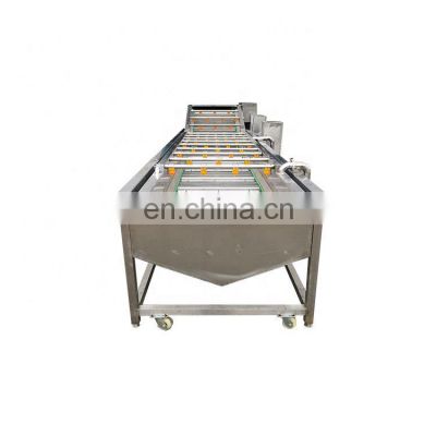 Discount Bubble Cleaning Machine High Efficiency Vegetable Fruit Washing Machine Vegetable And Fruit Washing Machine