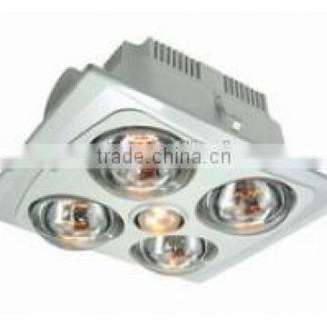 Induction Lamp