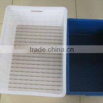 Automatic Bean Sprout Machine / Commercial Mung Bean Sprout Machine for Sale photo-4