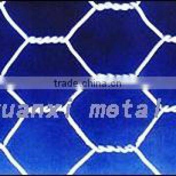 PVC Hexagonal Wire Mesh