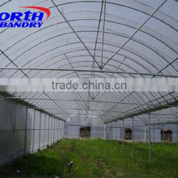 Greenhouse Vegetable Anti Insect Net