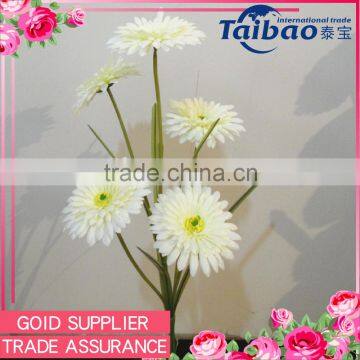 5 heads new hot sale prodcut indoor decoration gerbera plants wholesale