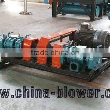 China Professional Roots Air Blower