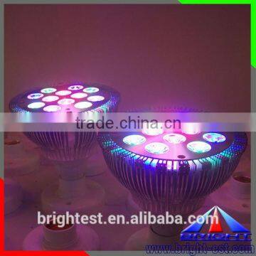 RGB PAR Series Par30 Par38 Led Spotlight 9W 12W photo-3