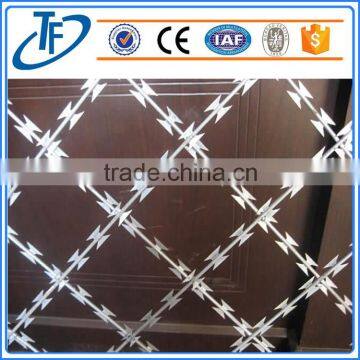 Galvanized Welded Razor Barbed Wire Mesh from Anping Supllier