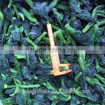 IQF Frozen style Chinese rapeflower