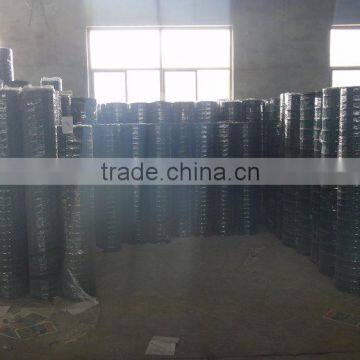 Holland Electric Welded Wire Mesh photo-4