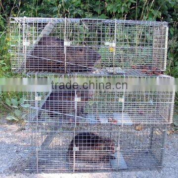 Animal Equipment Cage