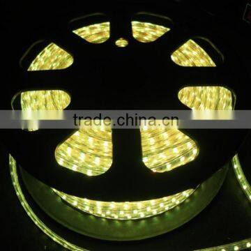 SMD2835 LED strip light waterproof IP65