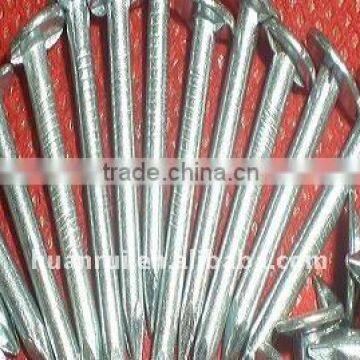 big head nails --copper nails
