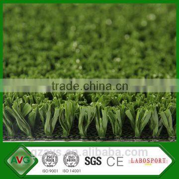 Volleyball Grass photo-4