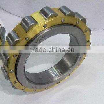 High quality bearing RN219 M eccentric bearing RN219M