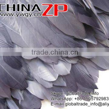 CHINAZP Factory Best Selling Cheap Trim Dyed Grey Goose Satinettes Trimming Feathers photo-4