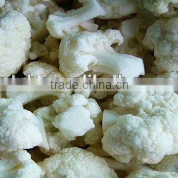 Frozen IQF Sweet Corn Kernel in China