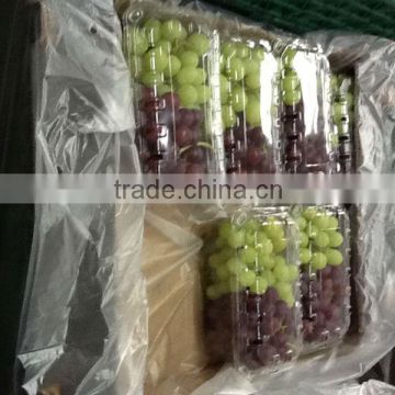 Fresh Green Grapes