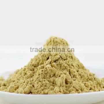 Light Yellow Brown fine powder /Ginger Root Extact Gingerol