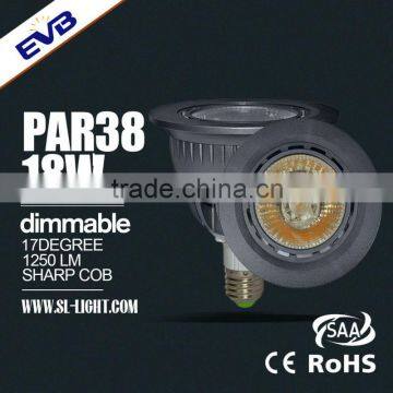 high lumen output led par 38 light