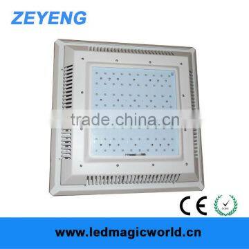 UL Approval LED Explosion Proof Light