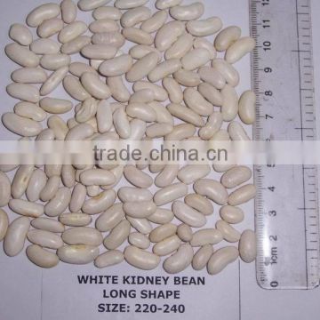 Long White Kidney Bean Chinese Origin