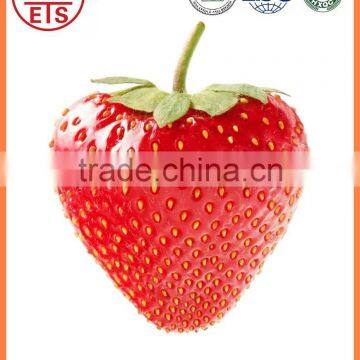 For sale High quality whole Fresh Strawberry