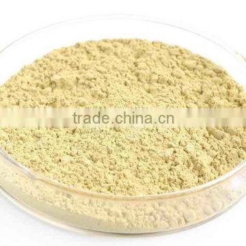 High quality yeast powder yeast extract