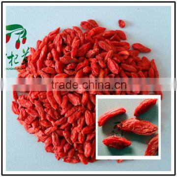 frozen red fresh medlar,goji fruit wolfberry,dried goji berry