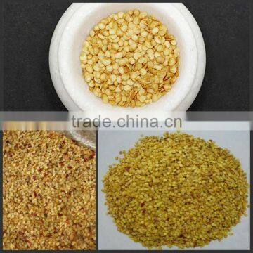 Hot Chili pepper Seeds