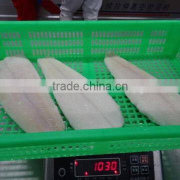 Wholesale High quality Frozen Greenland Halibut Fish Fillet