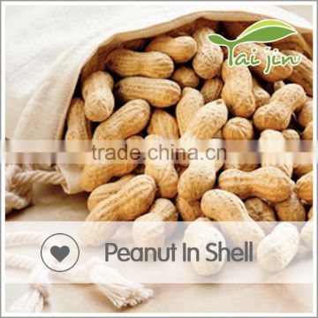 China origin peanut in shell