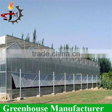 Large Scale Multi-span PC Sheet/board Greenhouse for Flower Plant photo-3