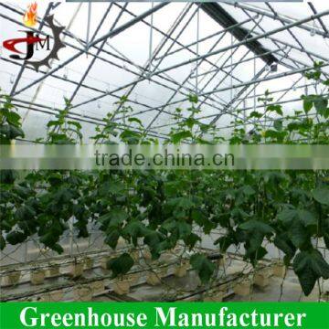 Portable Hobbie Greenhouse With Hydroponic Growing Systems photo-3