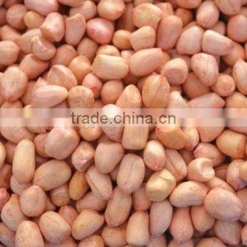 raw peanuts for sale