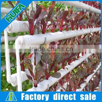 Huifa Professional Commercial Hydroponics Systems for Lettuce/ Spinach Growing