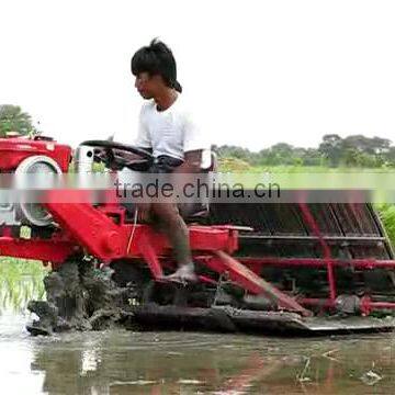 175F India Riding Type 238mm 8Rows Rice Transplanter With Cheap Rice Transplanter Price photo-6